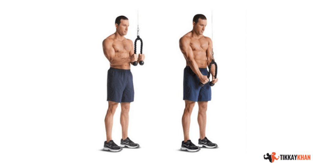 cable triceps pushdown