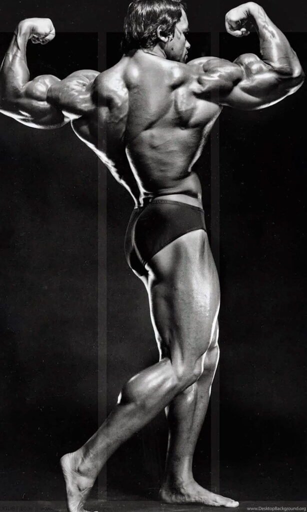 Arnold Schwarzenegger back Muscle