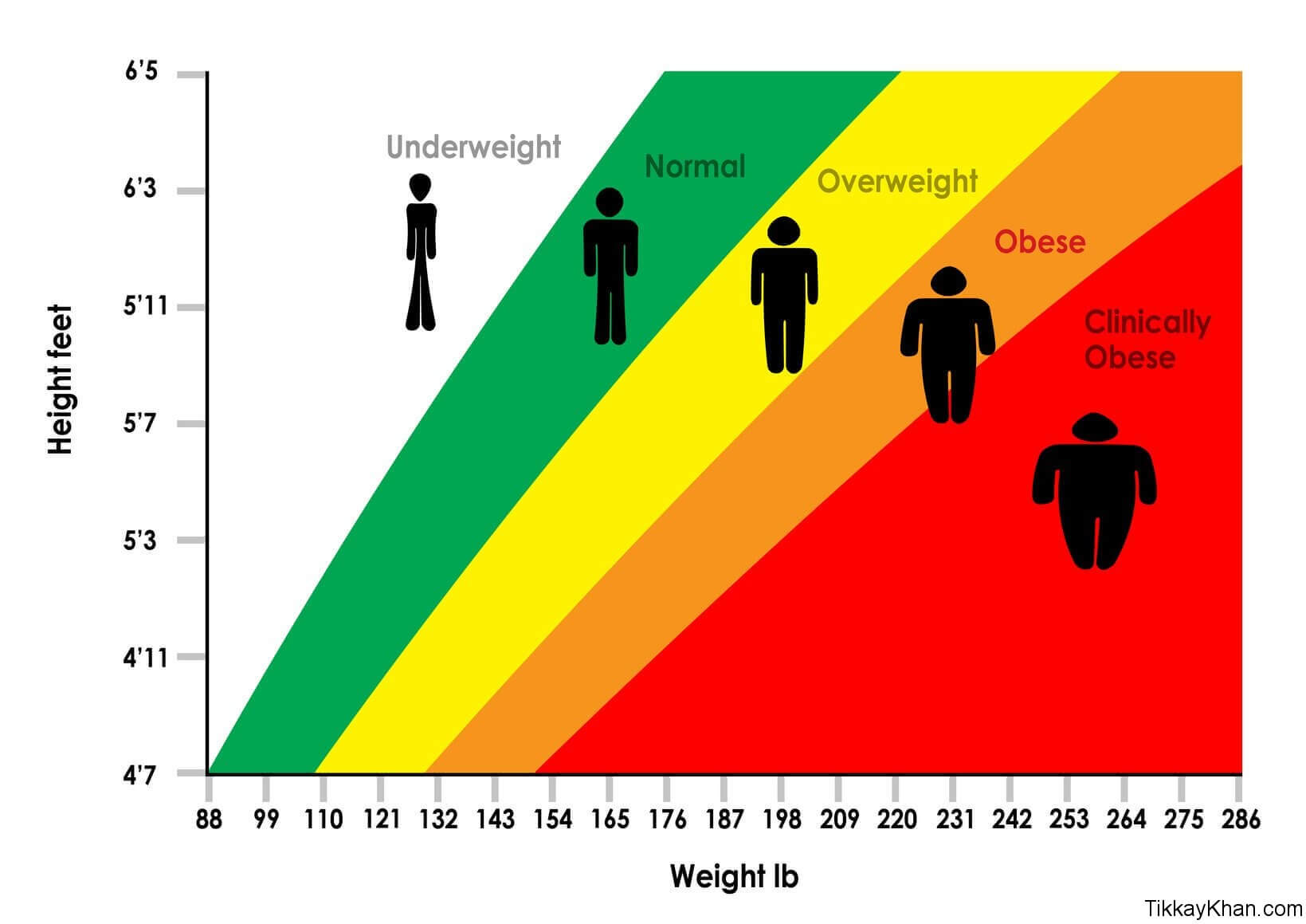 Height Weight Chart Obesity