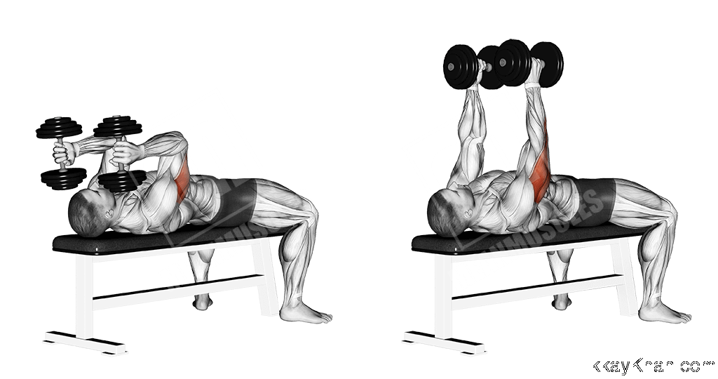 Lying Triceps Extension