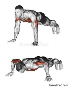 Triceps Workout: 11 Best Triceps Workout -Tikkay Khan