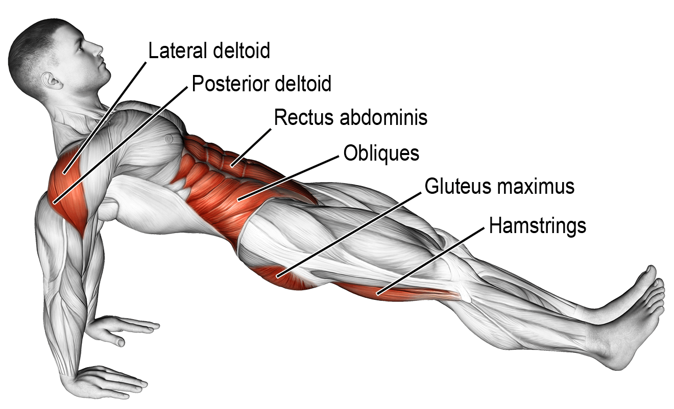 Reverse Plank