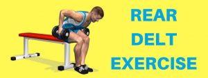 Rear Delt Exercises