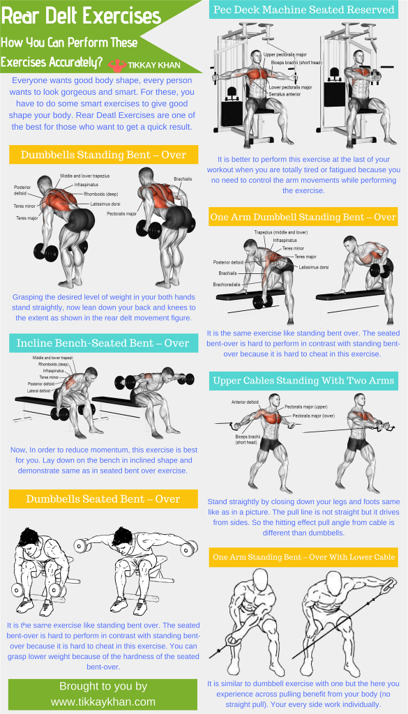 Rear Dealt Exercises how you can peform these exercises accurately?