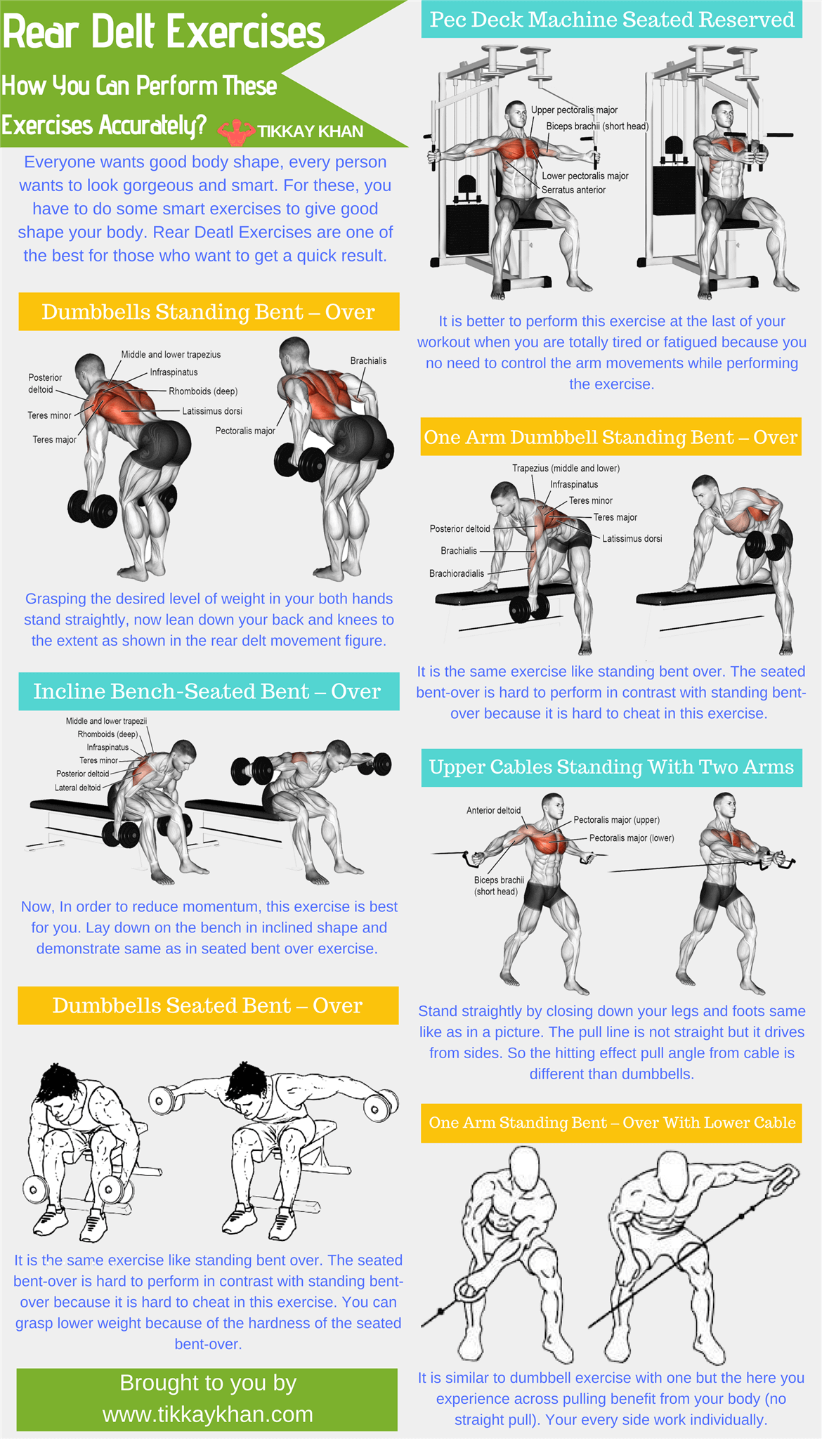 bent over db rear delt raise