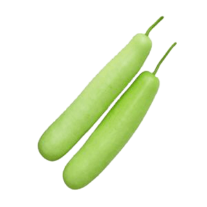 Bottle Gourd Juice For Weight Loss