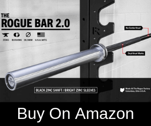 20 kg Rogue Bar 2.0