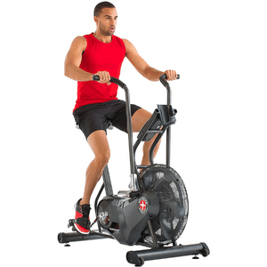 Schwinn Fitness Airdyne Bike