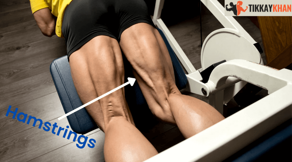 Hamstrings exercises