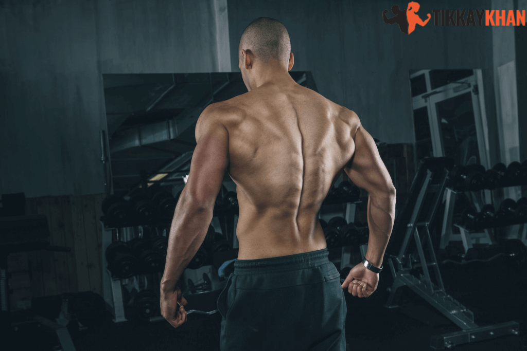 Spinal Erectors exercise