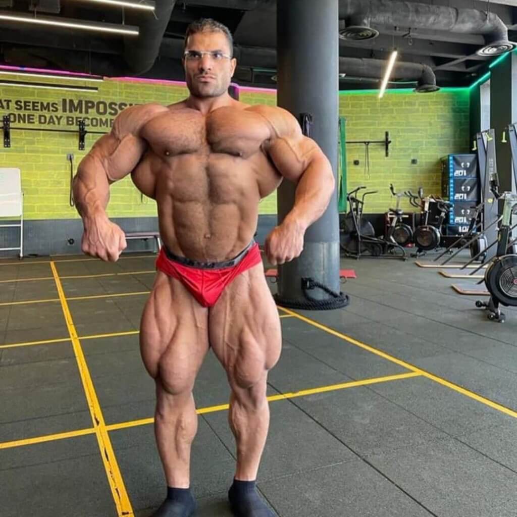 hassan mostafa bodybuilder