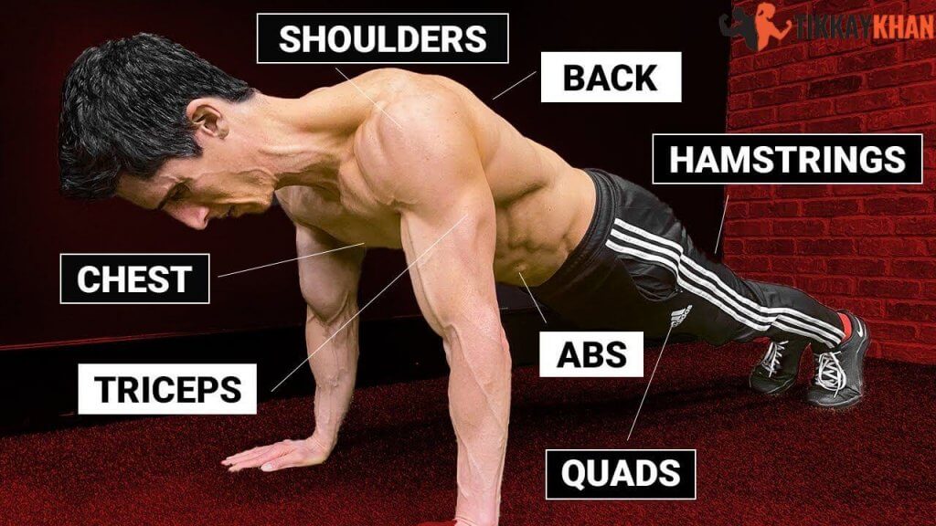 Push-Ups Strengthen the Whole Body