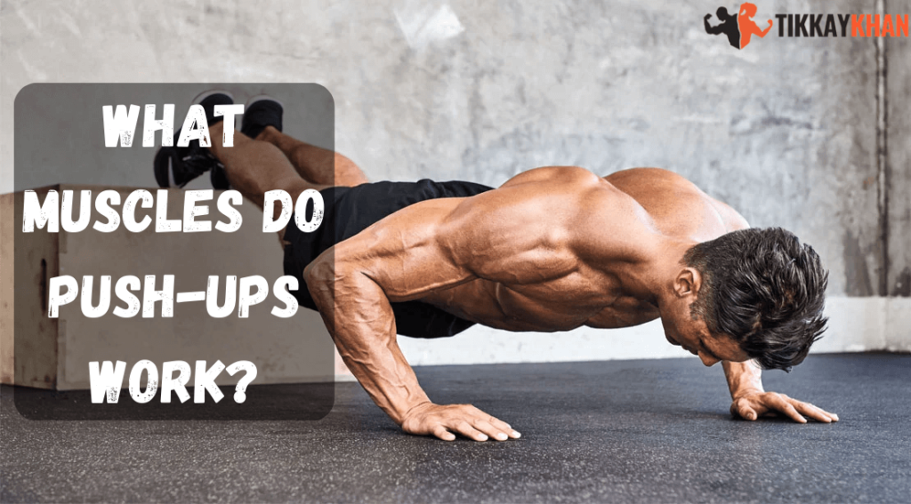 what muscles are used during pushups