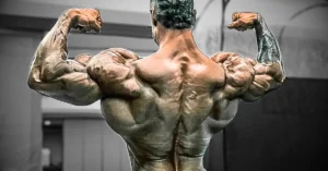 Cbum Bodybuilder