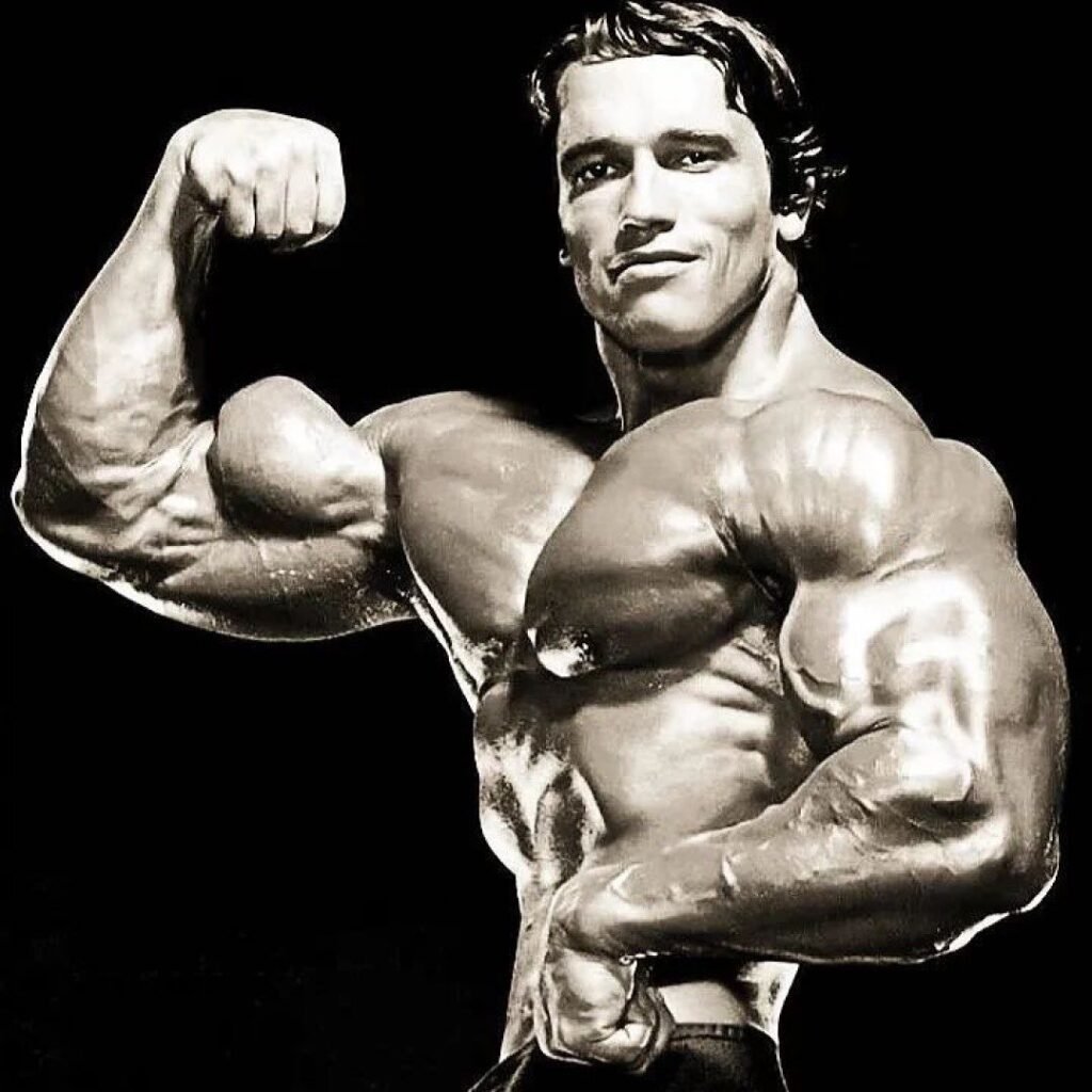 Arnold Schwarzenegger Austrian Oak