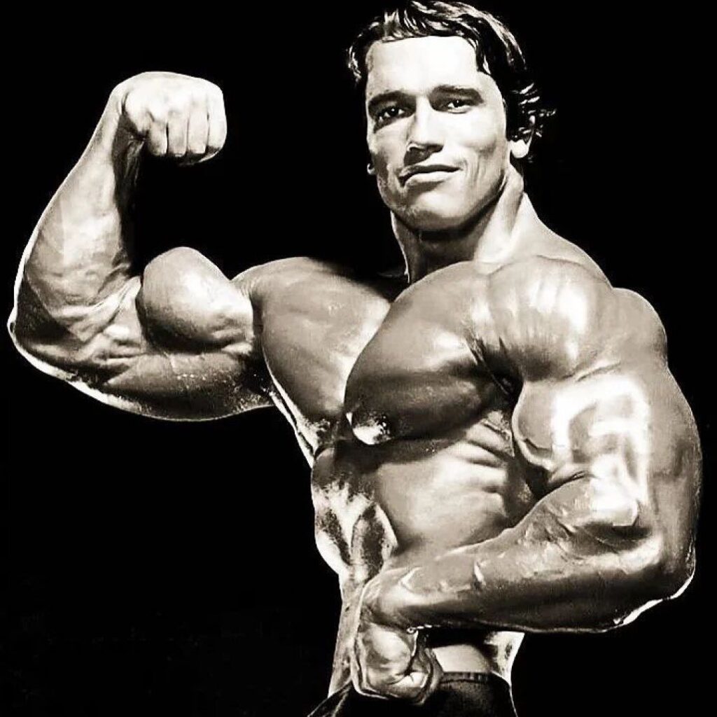 arnold schwarzenegger mr olympia 1980