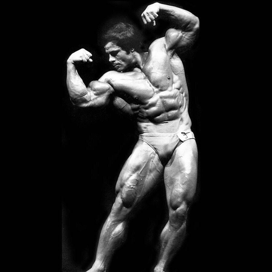 franco columbu mr olympia