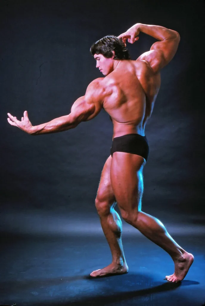 Arnold Schwarzenegger Diet Plan and Workout Routine 