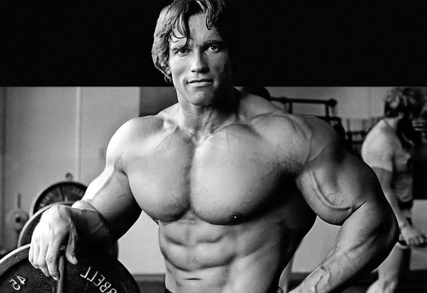 arnold schwarzenegger fubar