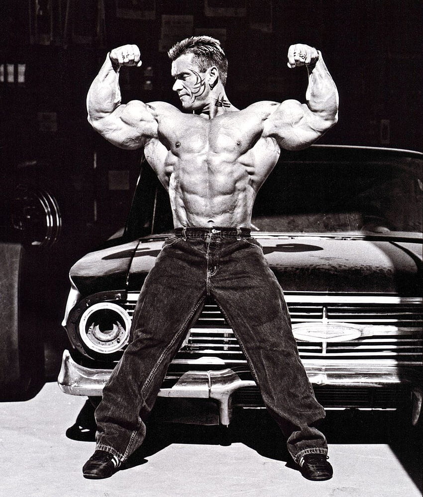 lee priest arm size