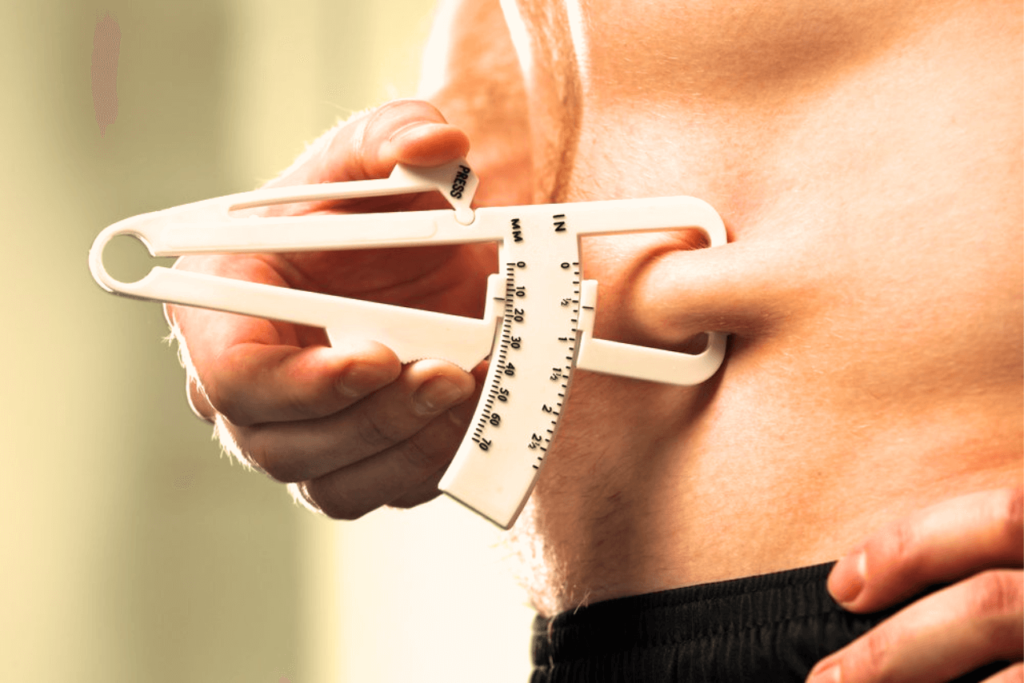 body fat percentage calculator