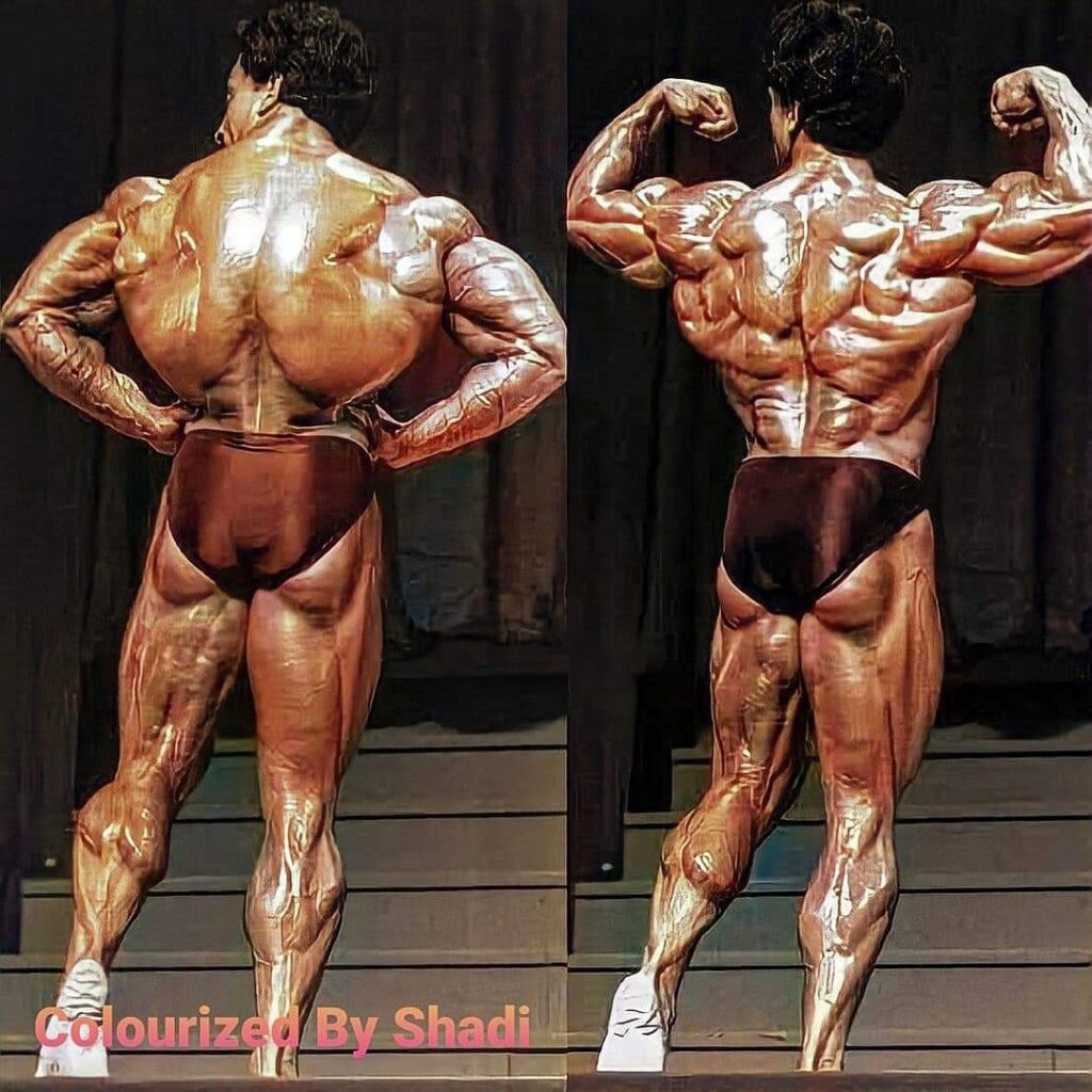 samir bannout Back Workout