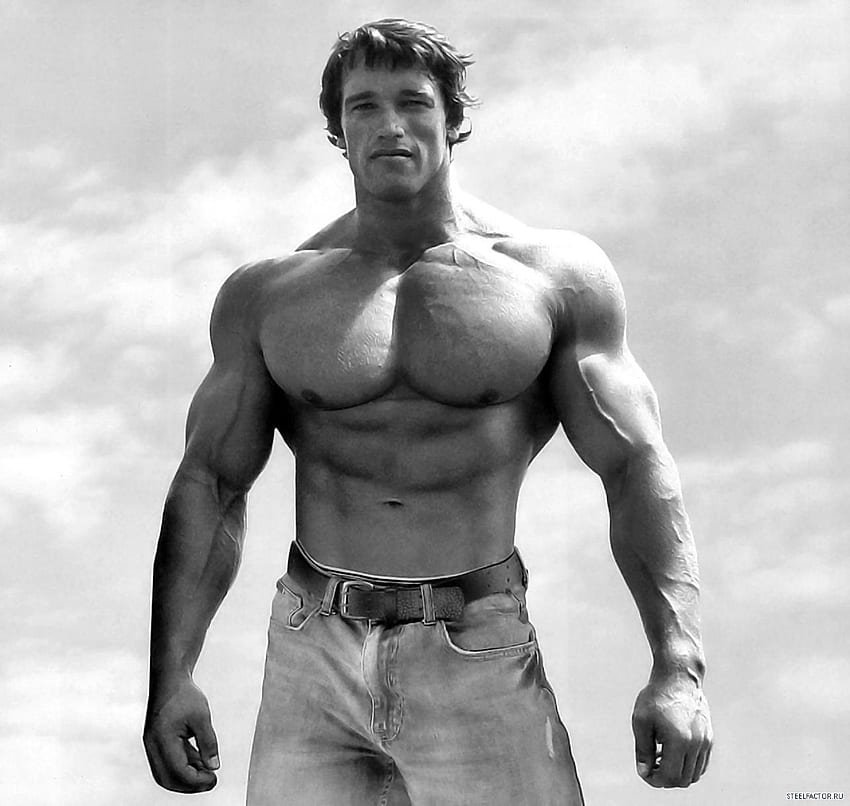 Arnold Schwarzenegger Legend 