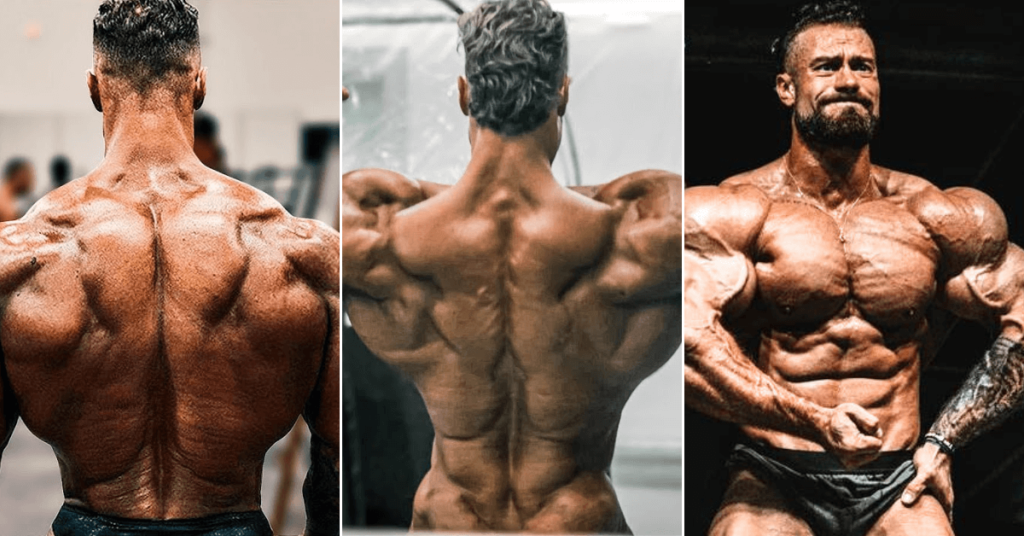 Chris Bumstead Builds A Rock Solid Back For 2023 Olympia