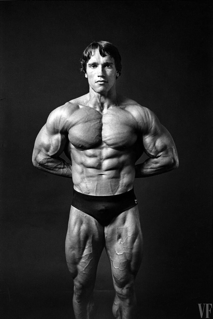 arnold schwarzenegger the austrian oak