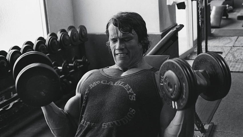 arnold schwarzenegger workout