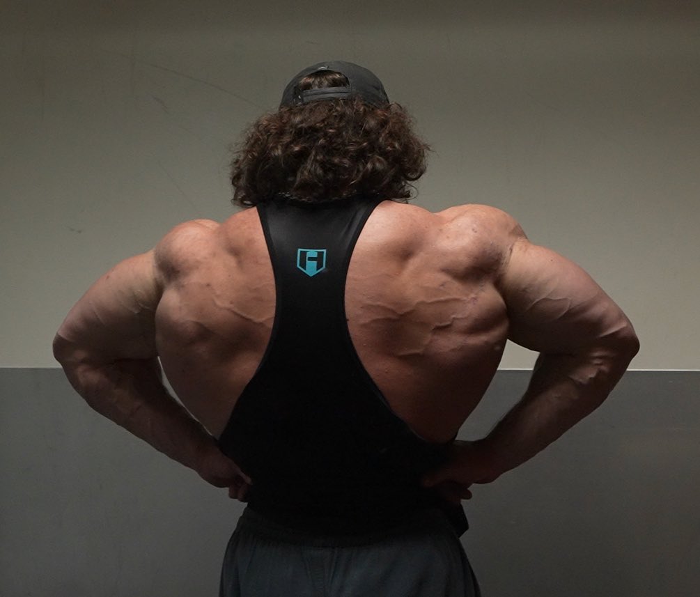 sam sulek back workout