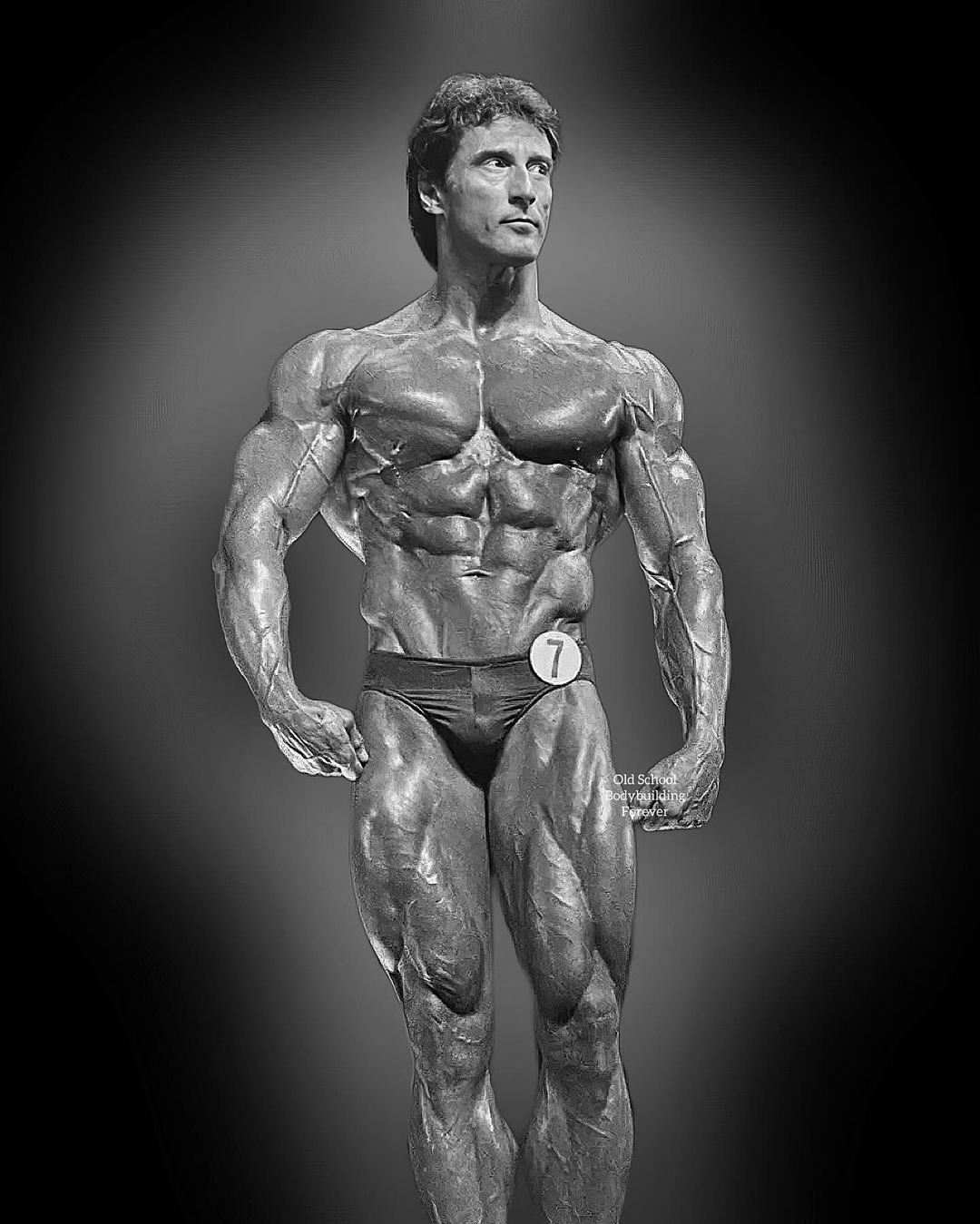 Zane Bodybuilder Lee Haney vs Frank Zane: A Comparative Analysis - Tikkay Khan
