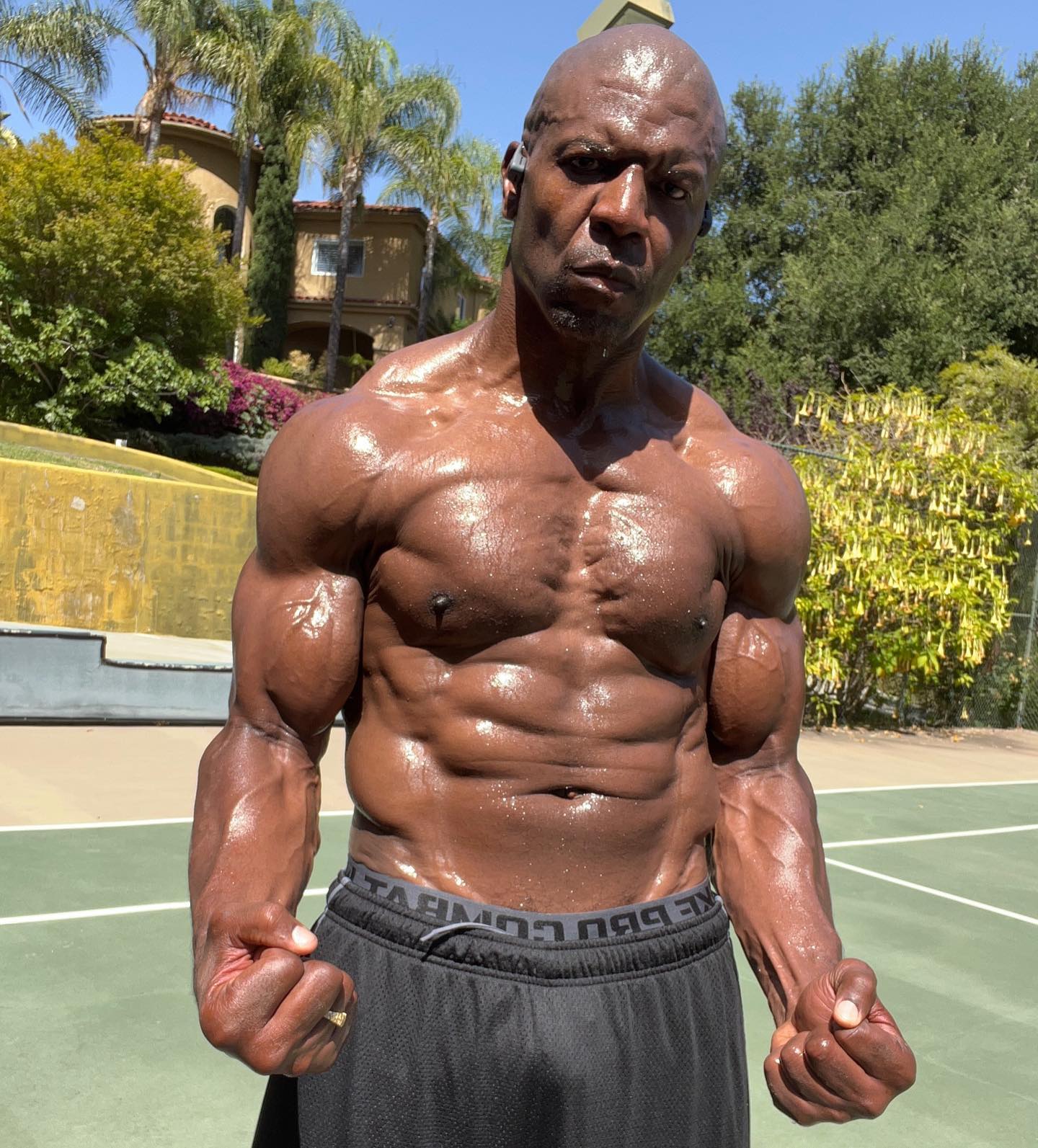 Terry Crews: Beyond the Muscles – Art, Athletics, and Acting Mastery ...