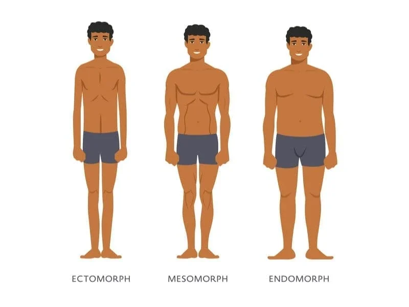 body types male fitness