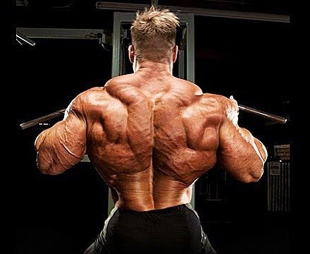 Jay Cutler Massive back  