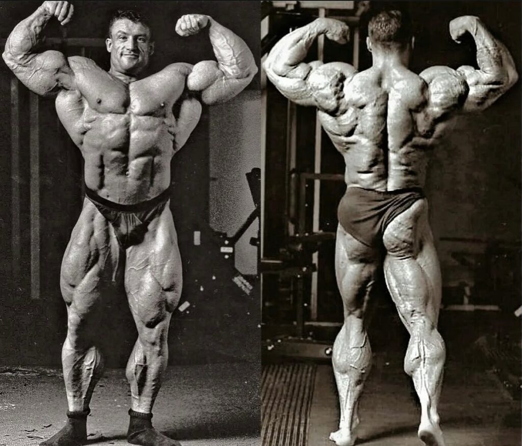 Dorian yates back Training 