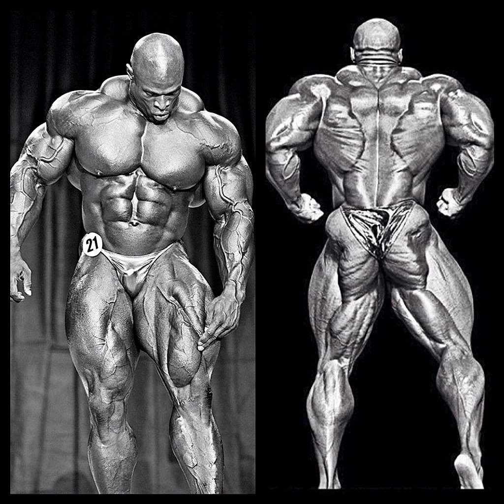 Ronnie Coleman Bodybuilder 