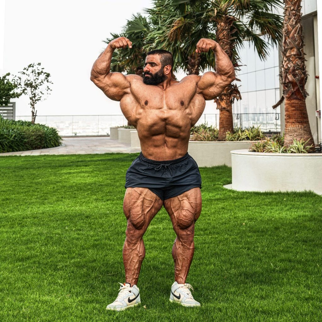 Hadi Choopan Mr Olympia 2025 