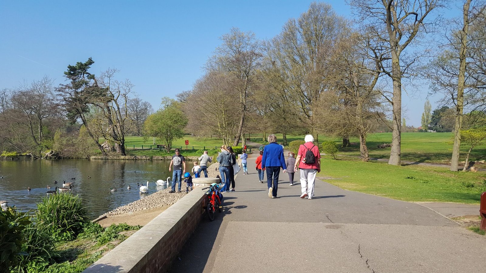People walking in a park in the morning